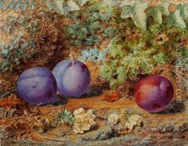 Still Life Of Plums On A Mossy Bank Oil Painting - Thomas Worsey