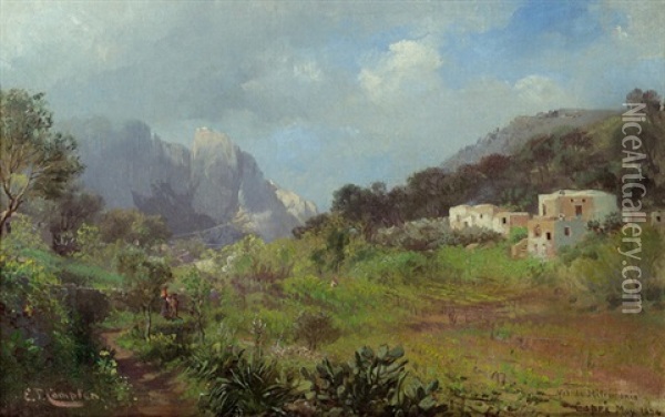 Capri, Val Di Mitramonio Oil Painting - Edward Theodore Compton