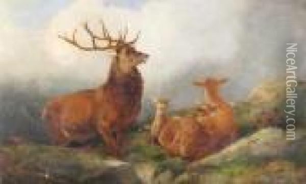 A Stag And Family In The Highlands Oil Painting - Richard Ansdell