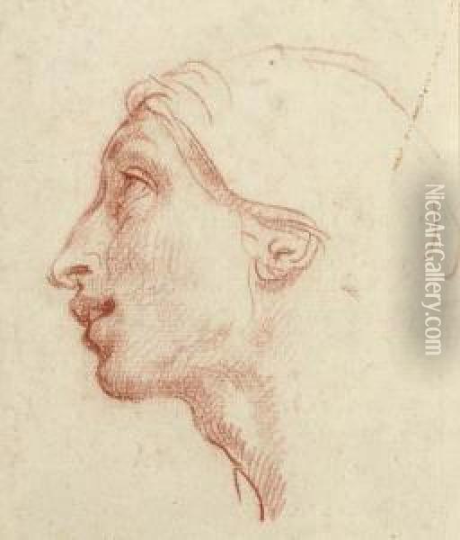 Head Of A Man In Profile To The Left Oil Painting - Cesare Dandini