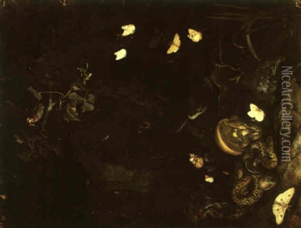 Nocturnal Still Life With Snakes, Toad, Mushrooms And Insects Oil Painting - Otto Marseus van Schrieck
