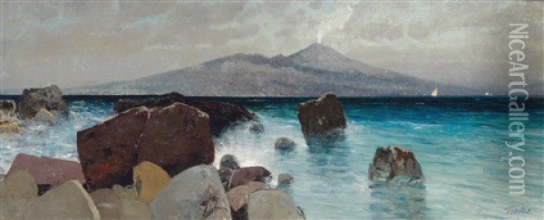 Coast, Vesuvius In The Background Oil Painting - Eduard Fischer