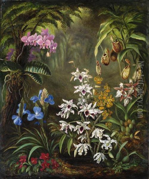 Orchids Oil Painting - Albert Durer Lucas