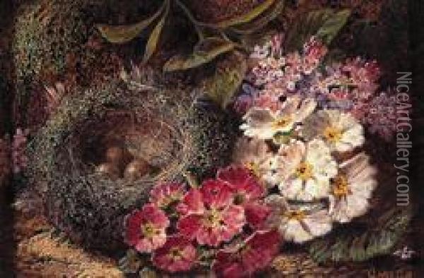 A Still Life Of Primula And Bird's Nest Oil Painting - Oliver Clare