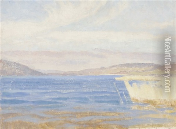Seelandschaft - Studie Oil Painting - Franz Jakob Elmiger