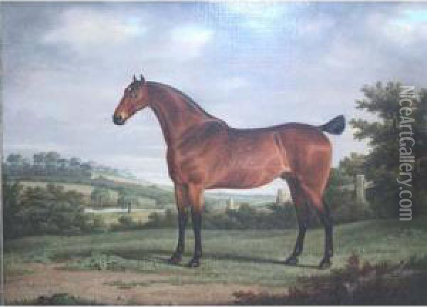 Champion Racehorse Oil Painting - George Stevens