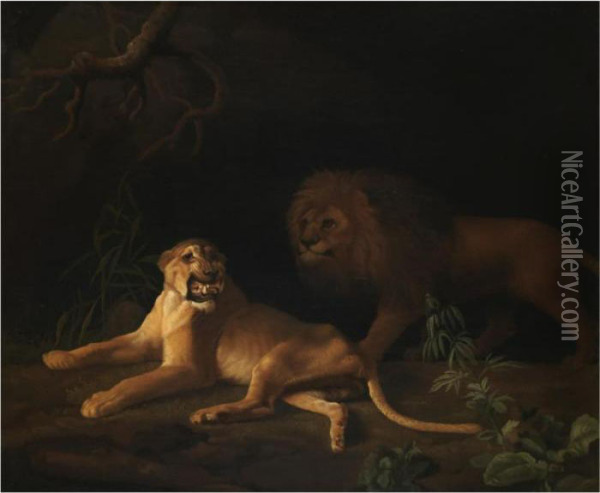 A Lion And A Lioness Oil Painting - George Stubbs