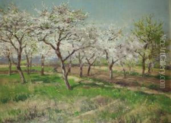 Bluhende Kirschbaume. Oil Painting - Heinrich Sen Hartung