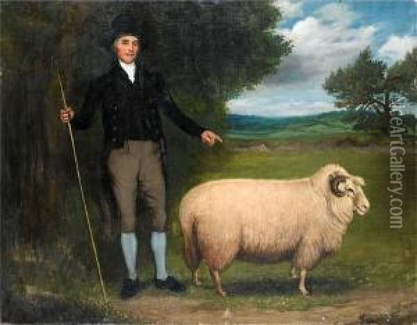 The Prize Ewe Oil Painting - G. F. Robertson