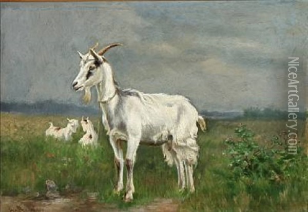 Grazing Goats Oil Painting - Simon Simonsen