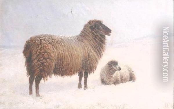 'sheep In A Winter's Landscape' Oil Painting - Charles Jones