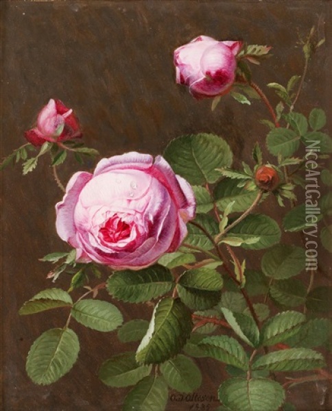 Stilleben Med Rosa Rosor Oil Painting - Otto Didrik Ottesen