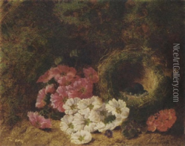 Pink, Red, White And Purple Violets, A Bird's Nest With Eggs Against A Mossy Landscape Oil Painting - Oliver Clare