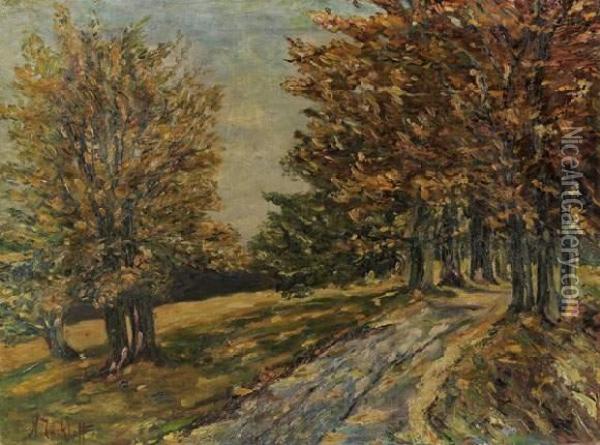 Paysage D'automne Oil Painting - Nicolas Tarkhoff