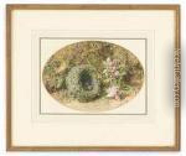 Apple Blossom And A Bird's Nest On A Mossy Bank Oil Painting - William Henry Hunt