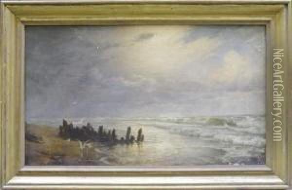 Bord De Mer Aux Mouettes Oil Painting - Andreas Christian Riis Carstensen
