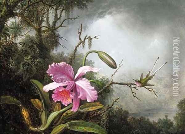 Orchid and Hummingbird, After a Storm Oil Painting - Martin Johnson Heade