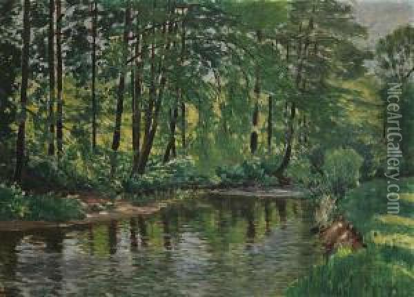 A Forest Brook Oil Painting - Antonin Hudecek