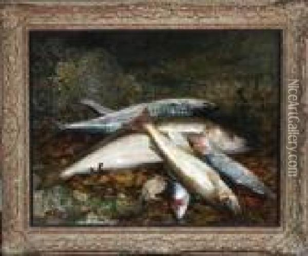 Mackerel, Herring, Whiting And Crab Oil Painting - Sophie Gengembre Anderson