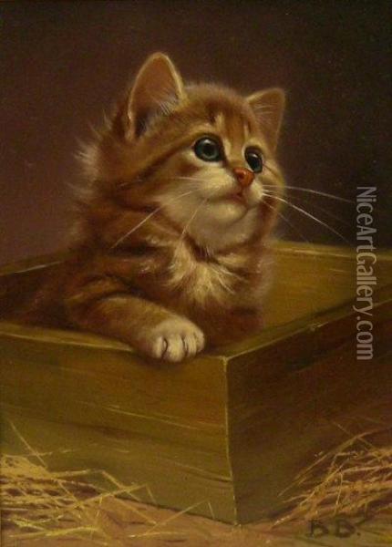 Kitten In A Box Oil Painting - Bessie, Betsie Bamber