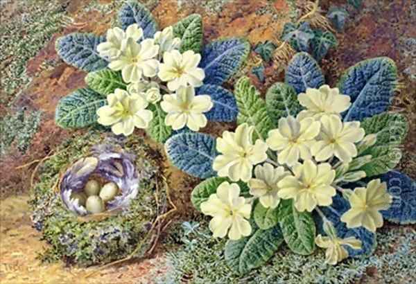 Primroses and a birds nest Oil Painting - Thomas Frederick Collier