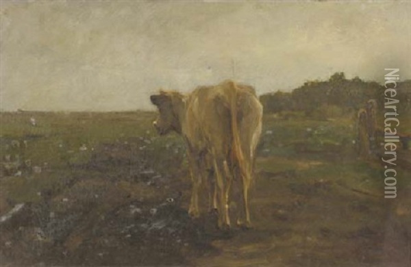 A Cow In A Meadow Oil Painting - Anton Mauve