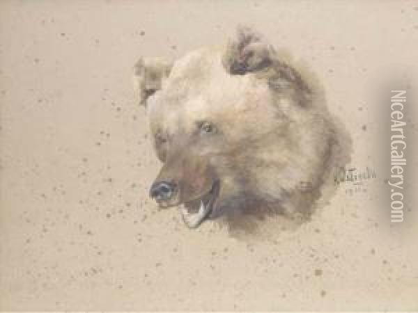 Head Of A Bear Oil Painting - Klavdiy Vasilievich Lebedev