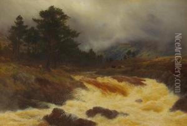 Highland River In Spate Oil Painting - Peter Graham