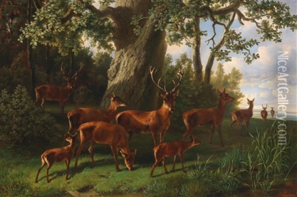 Pack Of Red Deer By A Woodland Edge Oil Painting - Karl Wilhelm Tornau