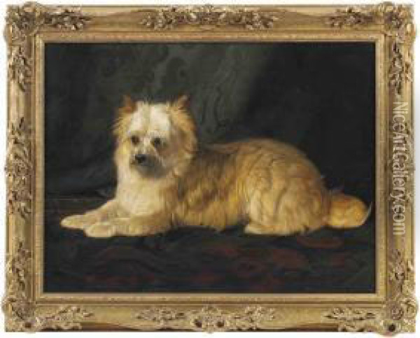 A Norfolk Terrier Oil Painting - Gourlay Steell