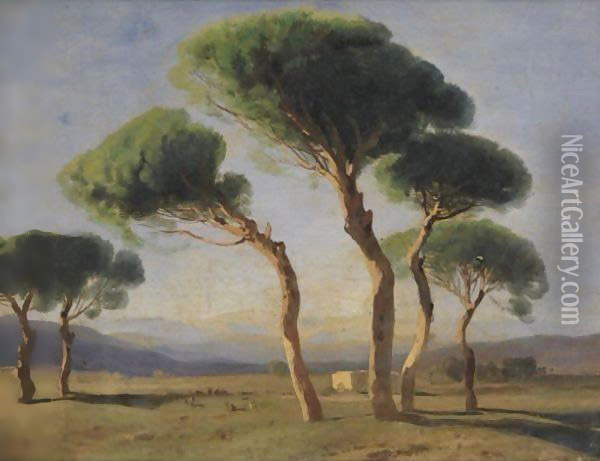 Study Of Umbrella Pines Oil Painting - Alexandre Calame