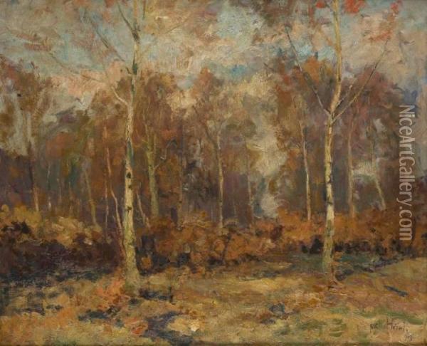 Soleil Dans Le Bois De Bouleaux Oil Painting - Richard Heintz