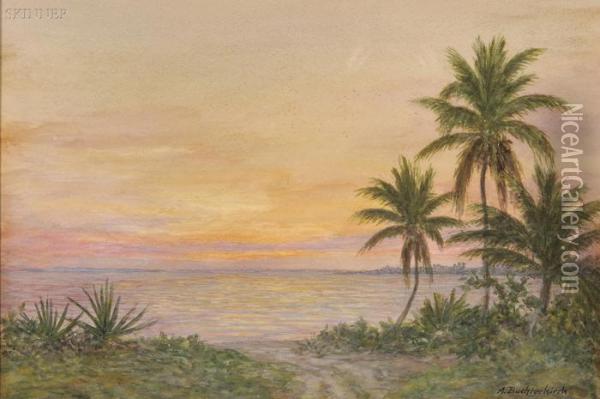 Tropical Sunset, 
Bahama Islands Oil Painting - Armin Buchterkirch