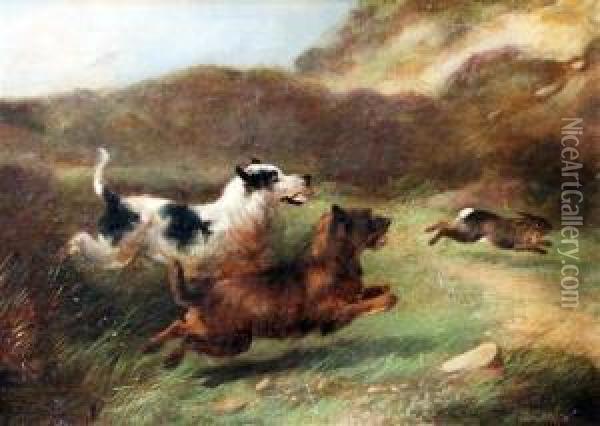 Terriers Chasing A Rabbit Oil Painting - Charles Morris