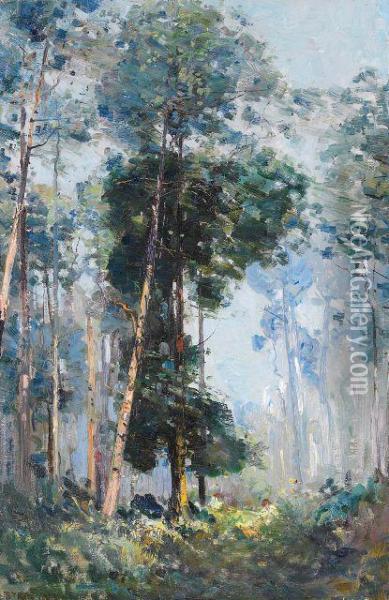 A Sunlit Mountain Oil Painting - Arthur Ernest Streeton
