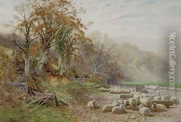 Sheep resting in the sunshine Oil Painting - Charles James Adams