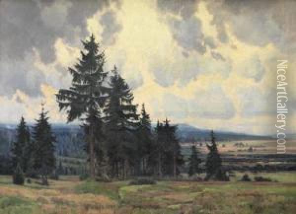 Hochmoor Im Isergebirge Oil Painting - Karl Oenicke