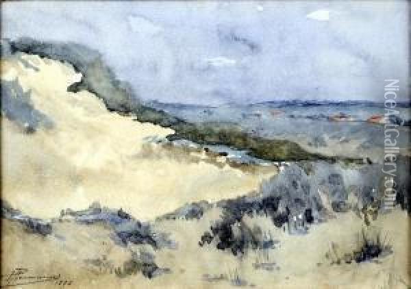 Dune Et Bruyere Oil Painting - Paul Hermanus