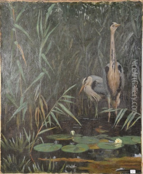 Herons Oil Painting - August Johannes le Gras