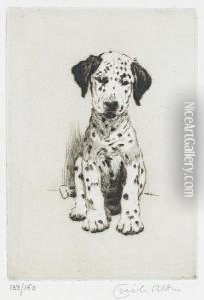 A Dalmatian Puppy Oil Painting - Cecil Charles Aldin