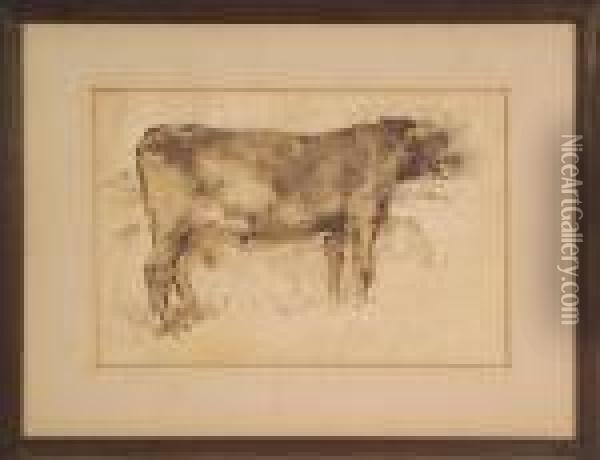 Toro Oil Painting - Giovanni Fattori