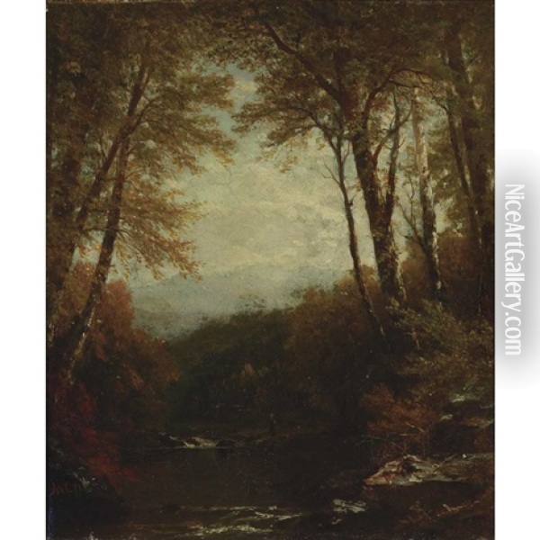 Woodland Scene Oil Painting - John William Casilear