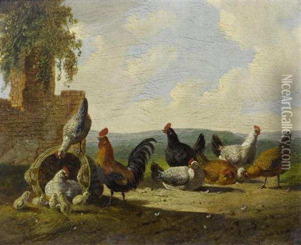 Hens In A Field Before A Ruin Oil Painting - Albertus Verhoesen