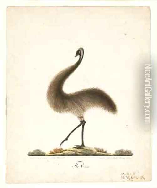 The Emu Oil Painting - Richard Browne
