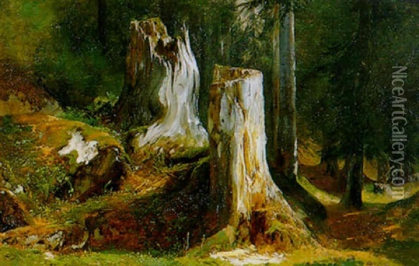 Souches D'arbres Oil Painting - Alexandre Calame