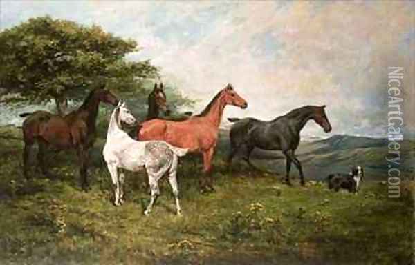 Mares and Foal with a Sheepdog Oil Painting - John Emms