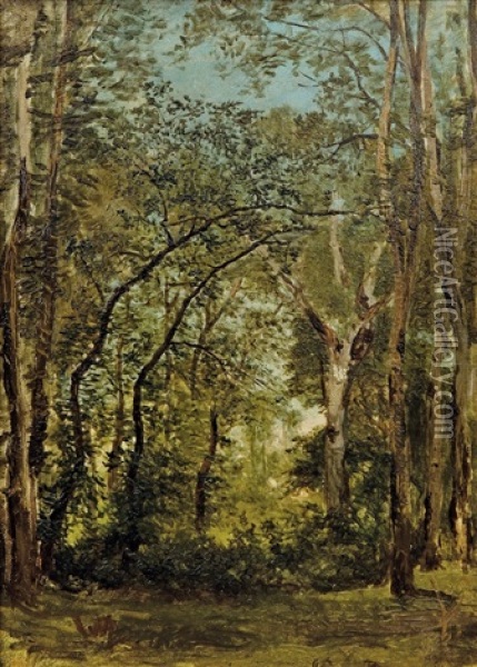 Pruhled Do Lesa Oil Painting - Julius Eduard Marak