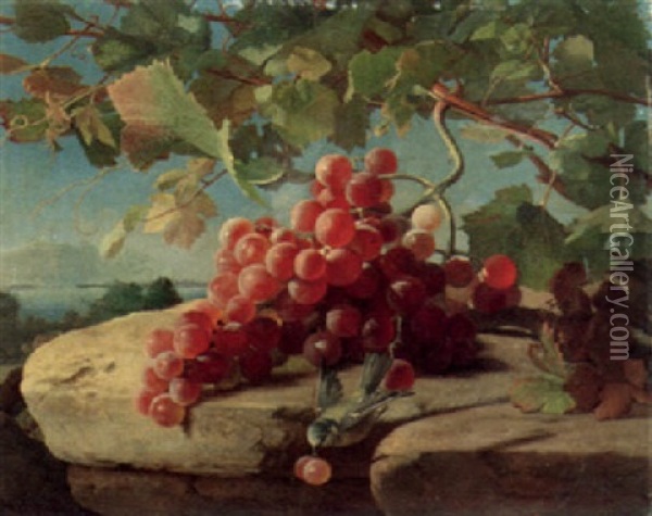 Red Grapes And Bird On A Stone Ledge Oil Painting - Carl Vilhelm Balsgaard