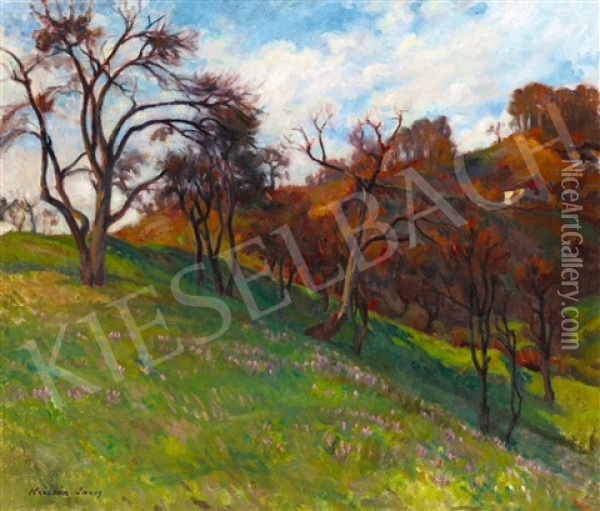 Autumn In Nagybanya (pulsatilla Field) Oil Painting - Janos Krizsan