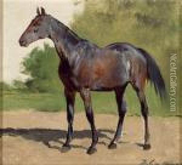 Pferdeportrat Oil Painting - Julius von Blaas